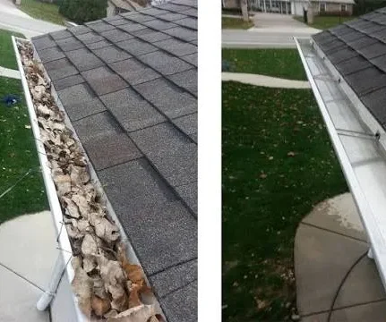 Professional Gutter Cleaning Services